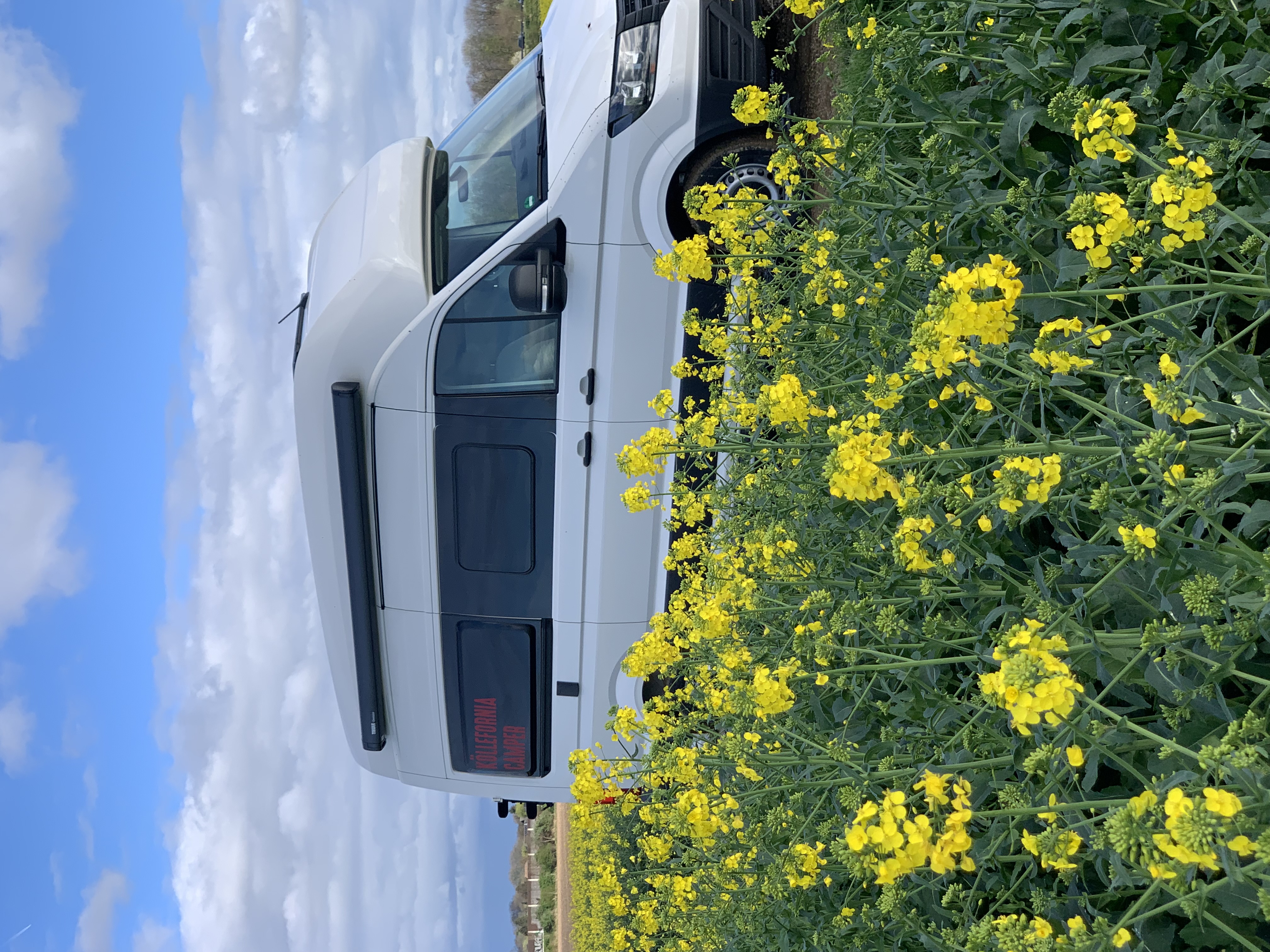 VW Grand California 600 - Köllefornia Camper