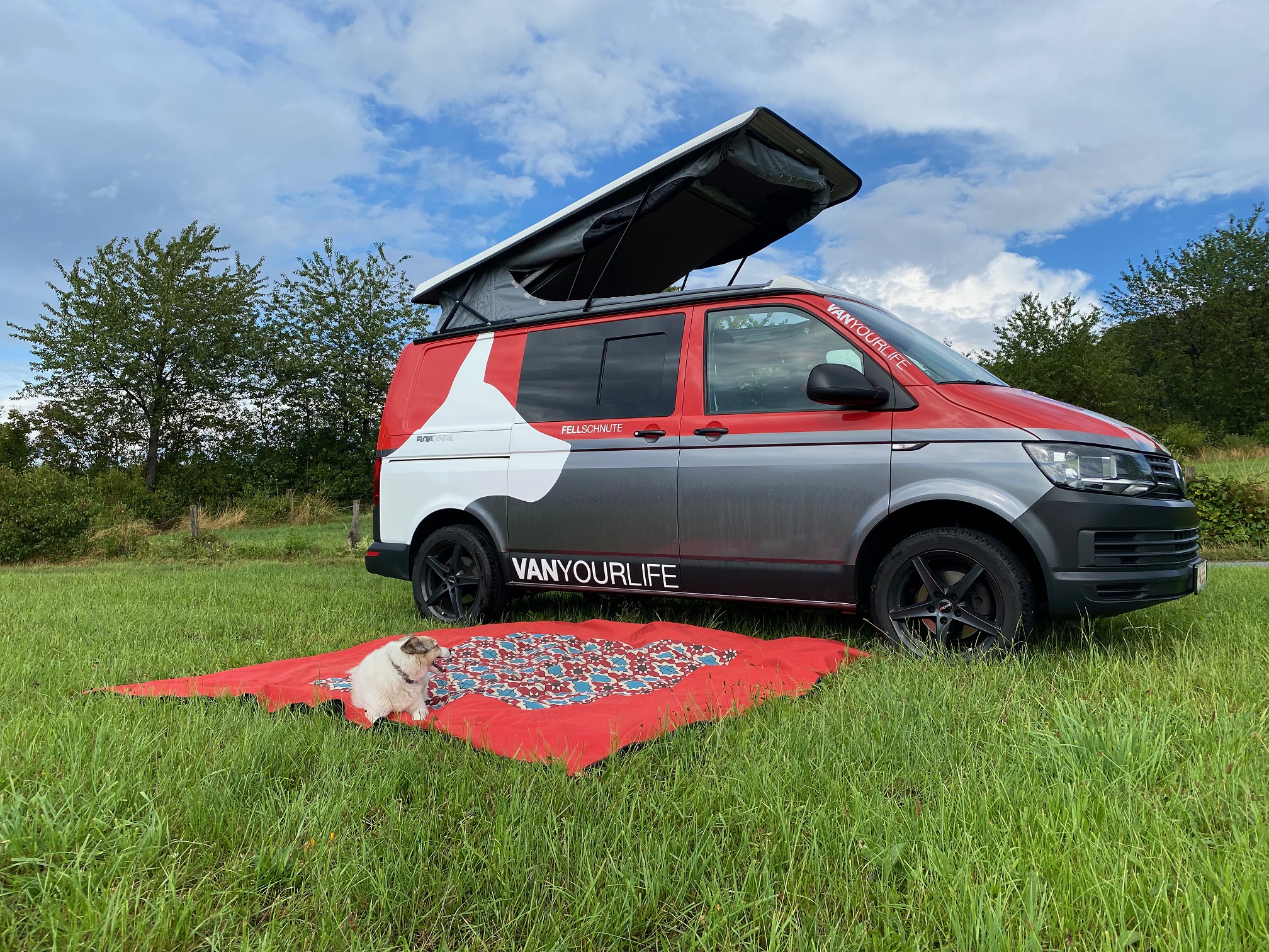 VW T6 Flowcamper Fellschnute / Casper