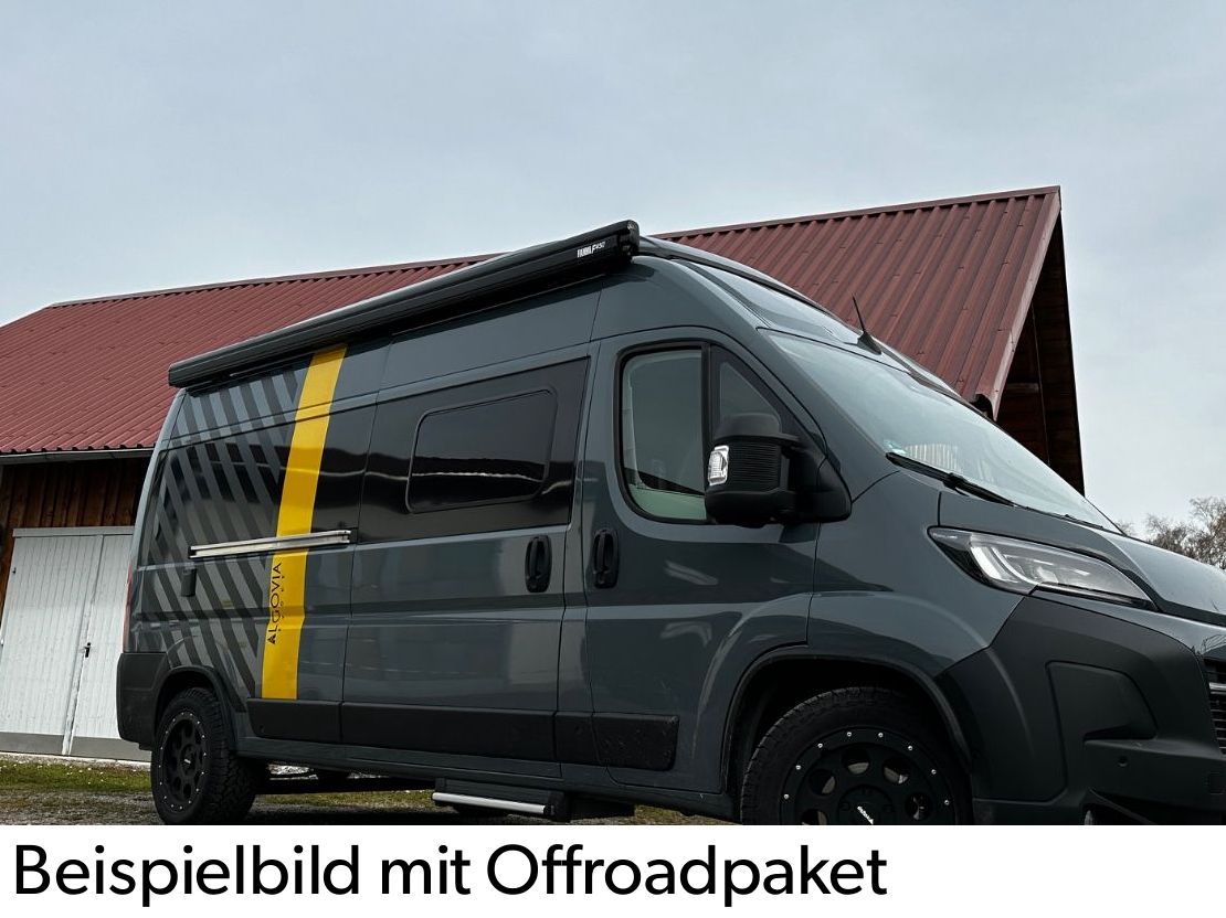 ALGOVIA EVOKE auf Opel Movano