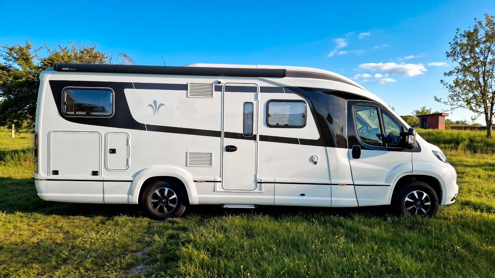 Niesmann+Bischoff Smove 7.4 B 2018